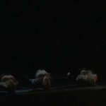 Nga Hau E Wha – full show 2012