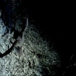 Tama Ma – Dance Film