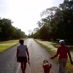 Whare – Short Film