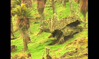 Rereahu, the ancestor and tribe from the King Country – Documentary