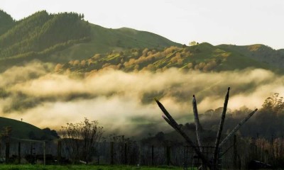The Silent Tribe – Ngā Ariki Kaiputahi