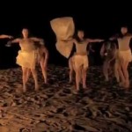 Te Kārohirohi: The Light Dances 2010