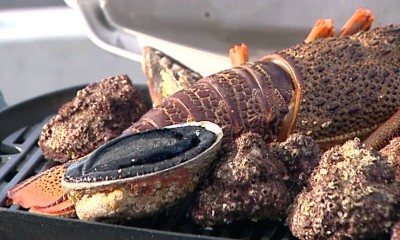 KAI ORA: On a boat in the Hauraki Gulf, Anne cooks a range of freshly caught seafood for her guests