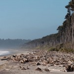 Inaka – Ngai Tahu Mahinga Kai