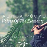 Taonga Puoro – Māori Instruments with Jerome Kavanagh